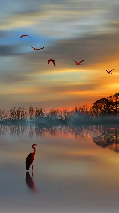 lingering light of the setting sun-03