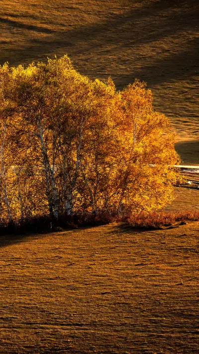Autumn on the grassland
