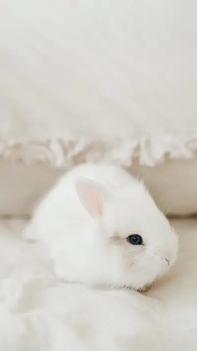 Little white bunny rabbit sitting on the bed