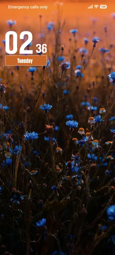 Blue Flowers - Screenshot 1
