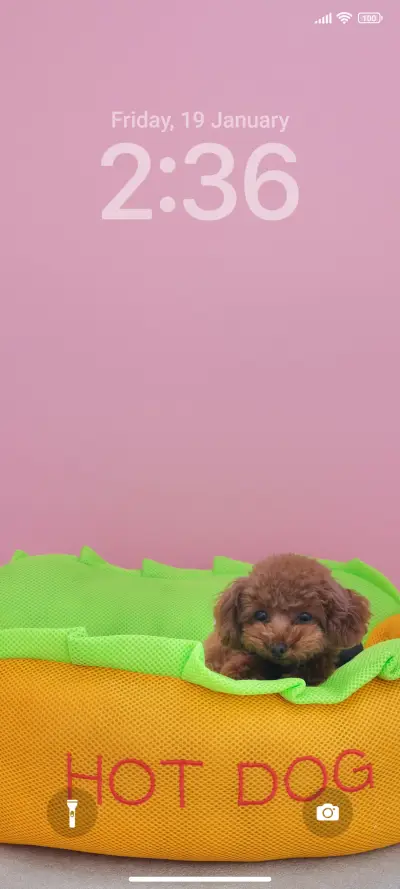 Pink Puppy R