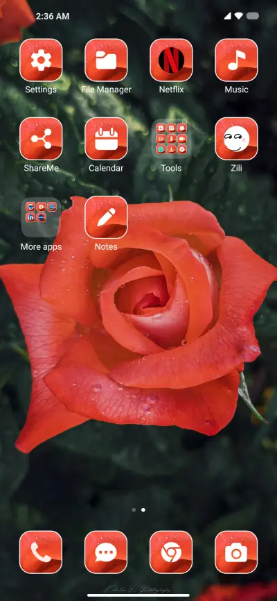 Dark Rose - Screenshot 3