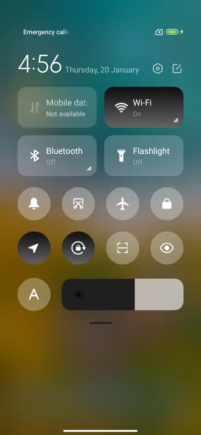 Forest1 - Screenshot 5
