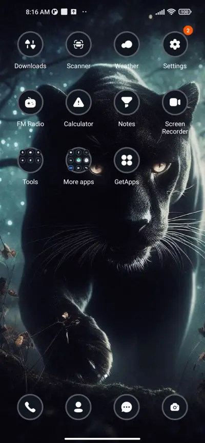 Black Panther - Screenshot 3