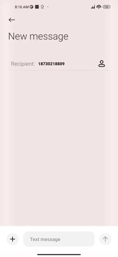 Decoration - Screenshot 8