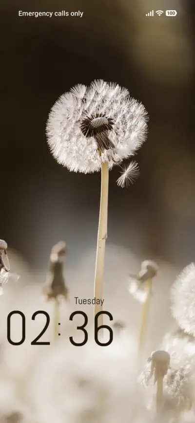 Flower Light THEME for Xiaomi MIUI HyperOS