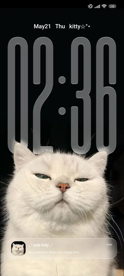 Cat THEME for Xiaomi MIUI HyperOS