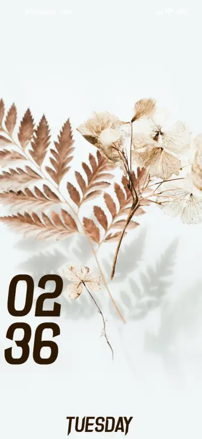 Fern Leaves - Screenshot 1