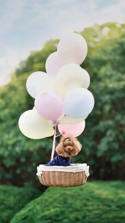 Is your dog happy - Screenshot 1