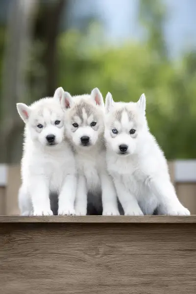 Untitled (10).jpeg - Screenshot 1