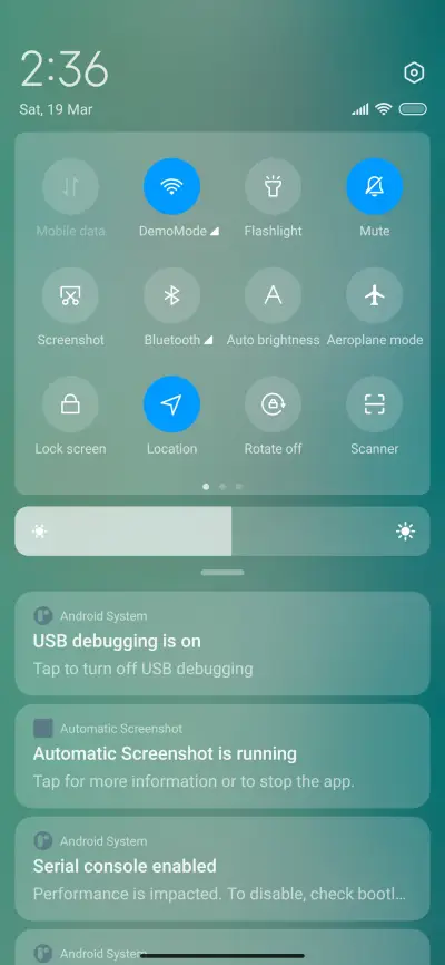 DigiFlower Frame - Screenshot 5
