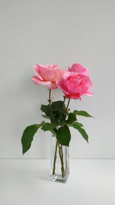 Elegant Pink Roses in Clear Vase, A Simple Charm