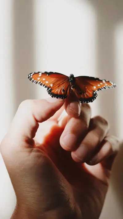 international_lifestyle (29)