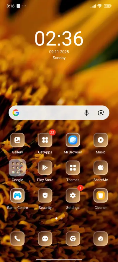 Budlet - Screenshot 2