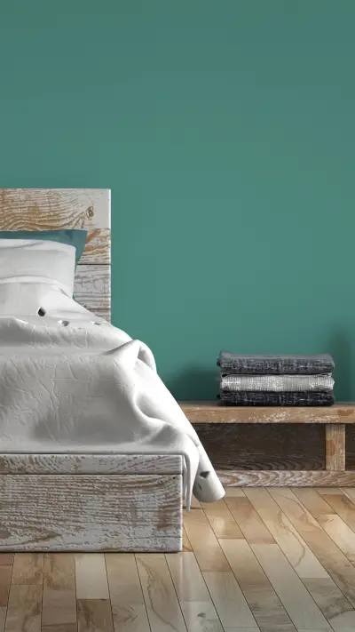 Two types of houses without devaluation 2