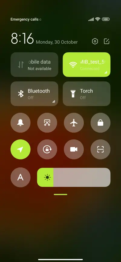 flower orange - Screenshot 5