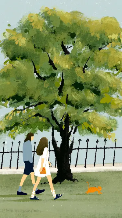 Illustration 6 - Screenshot 1