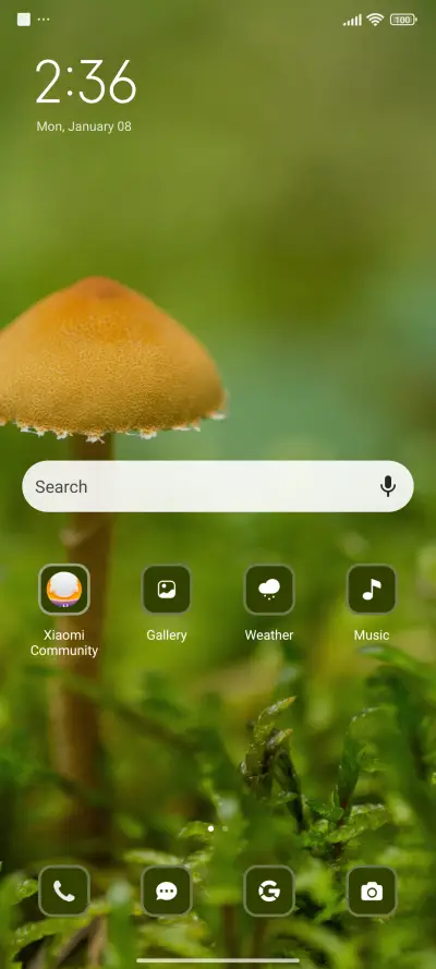 Leaf Macro - Screenshot 2