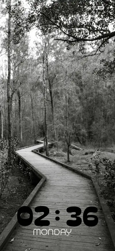 Mountain Mist - Screenshot 1