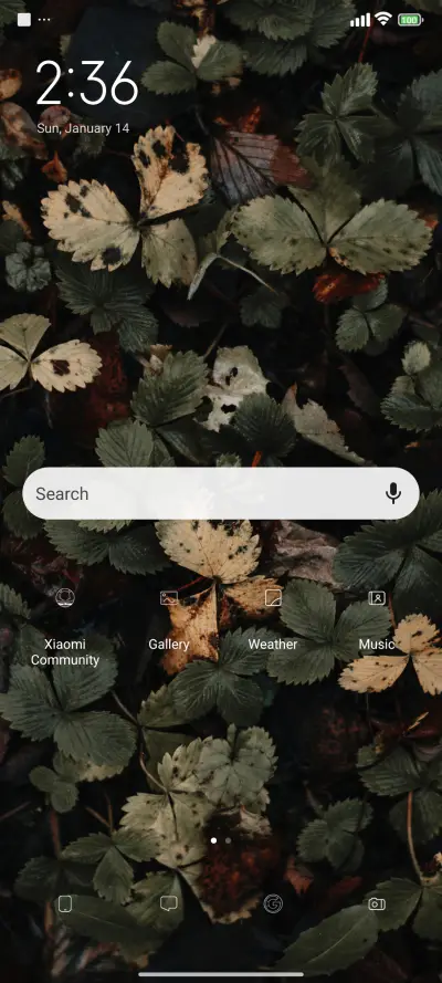 black - Screenshot 2