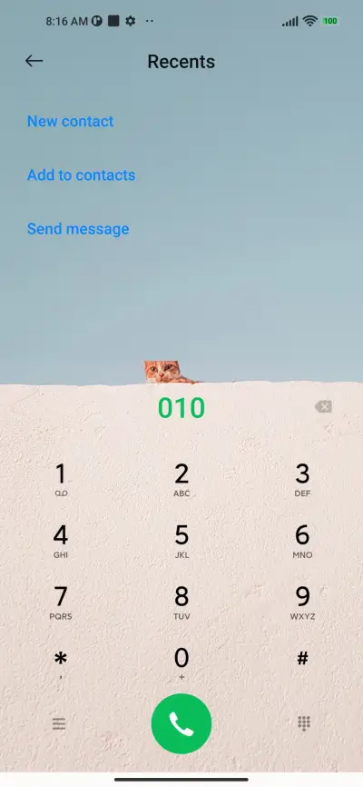 Ginger cat - Screenshot 6