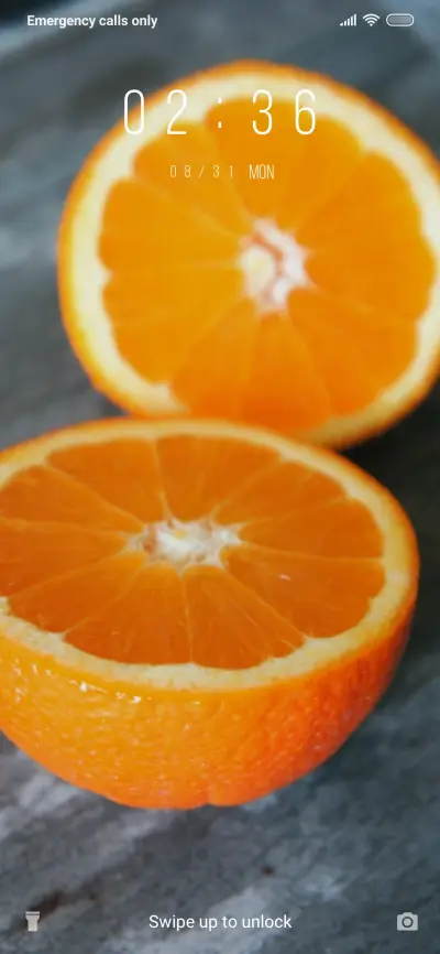 Oranges Sliced_3MDS - Screenshot 1