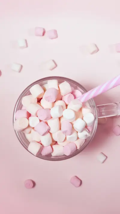 international_food (1) - Screenshot 1