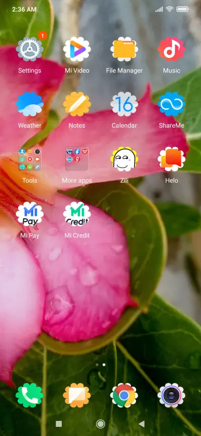 Natural Flower_DWM2 - Screenshot 3