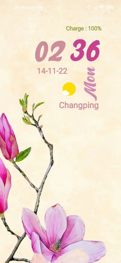 Flower Art - Screenshot 1