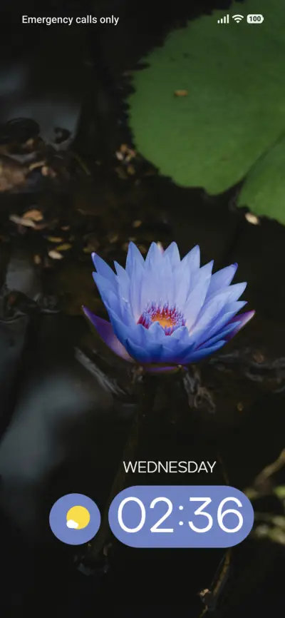 Flower Floats
