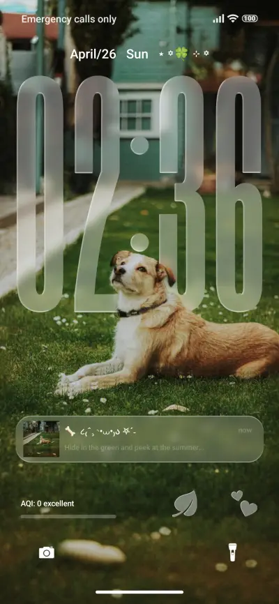 AJ Dog lovers THEME for Xiaomi MIUI HyperOS