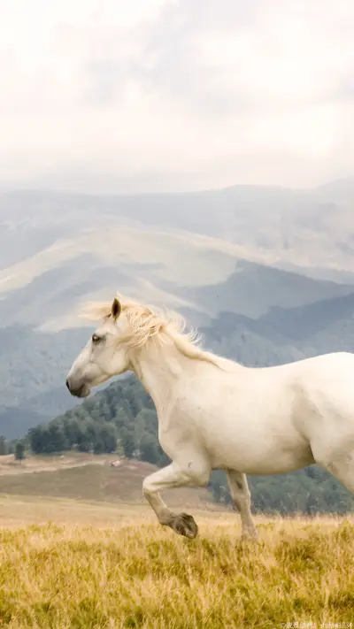 穿行白马—锐景创意 - Screenshot 1