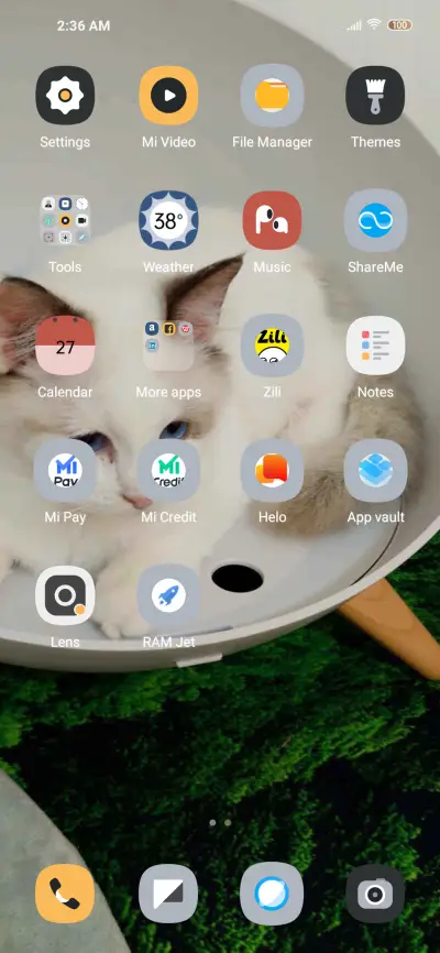 Lazy Cat - Screenshot 3