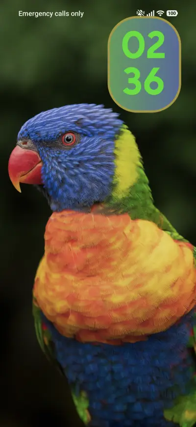 Colourful parrot THEME for Xiaomi MIUI HyperOS
