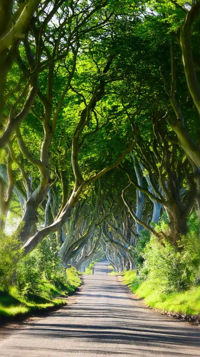 Who can win the world in the end 96