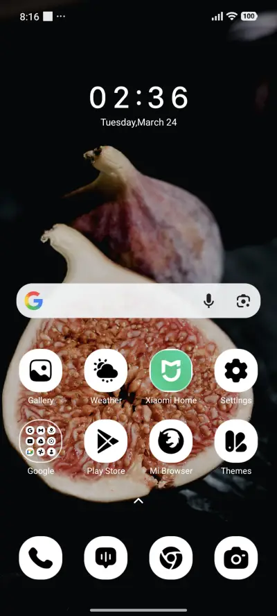 Fig Delight - Screenshot 2