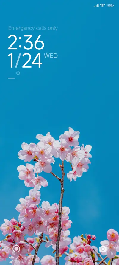 Cherry blossoms - Screenshot 1