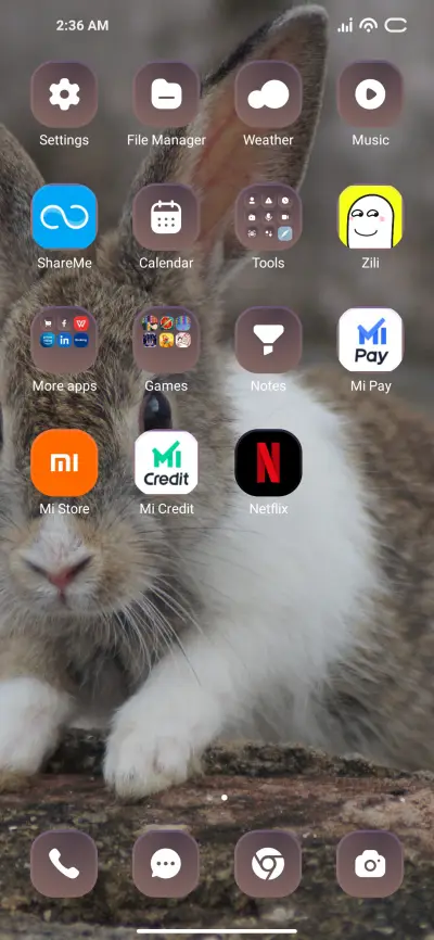 Rabbit - Screenshot 3