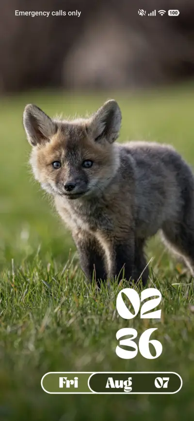Baby Fox THEME for Xiaomi MIUI HyperOS