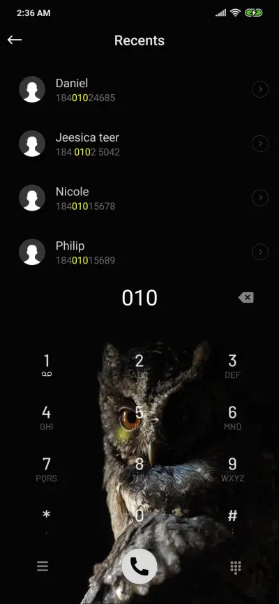 Owl_DWM19 - Screenshot 6