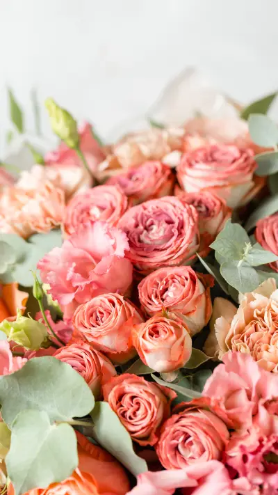 Common advertising rose varieties 3