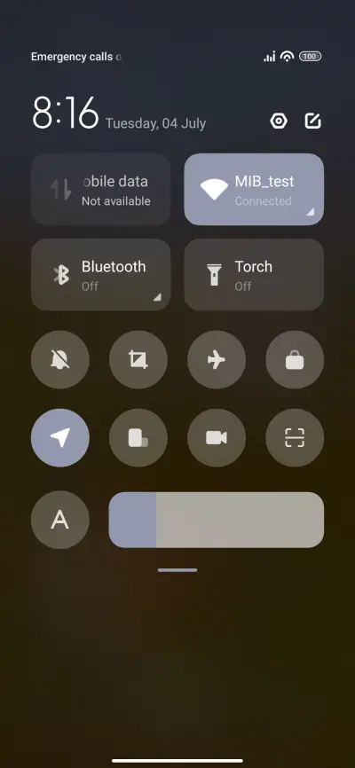 Birds - Screenshot 5