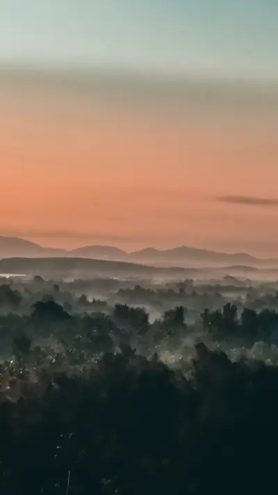 Albert B2 (5) - Screenshot 1