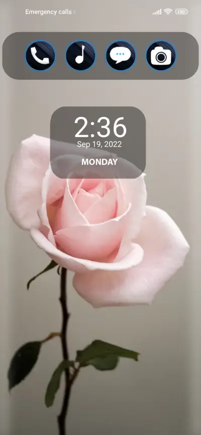 Rose texture - Screenshot 1