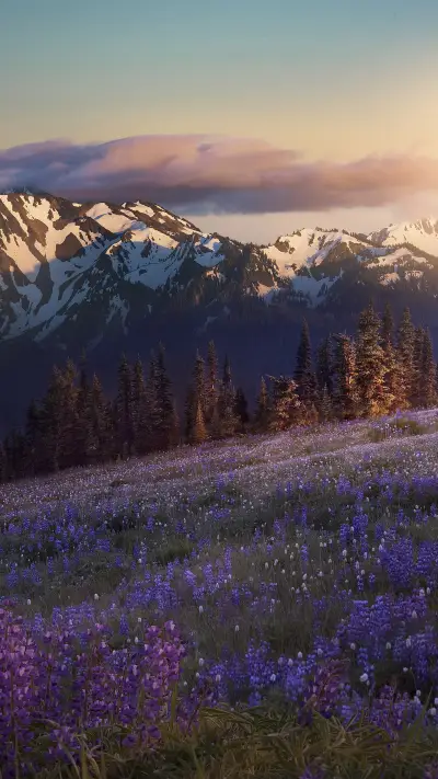 60 the main points o