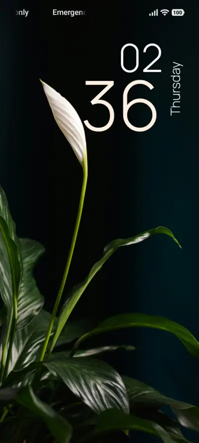 Ivory Blossom THEME for Xiaomi MIUI HyperOS