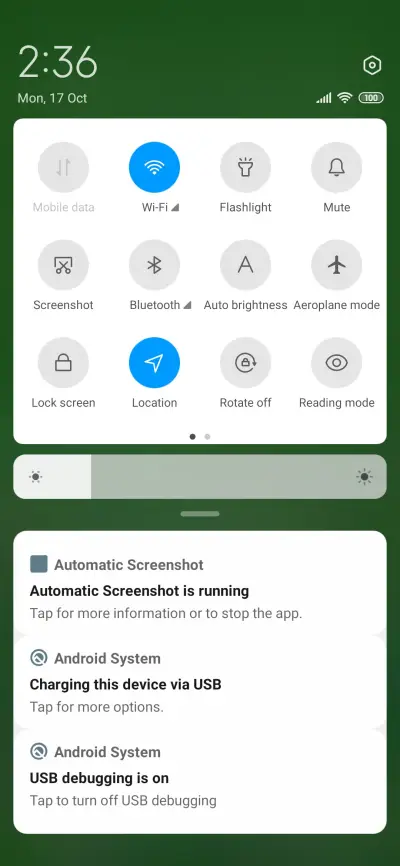 Wildflowers - Screenshot 5