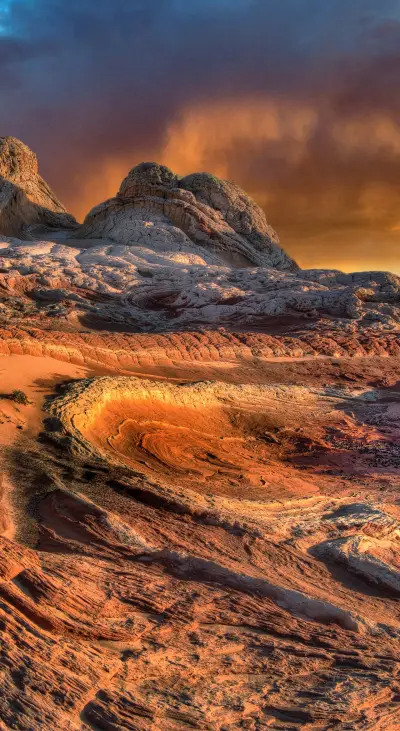 Earth Day (25) - Screenshot 1