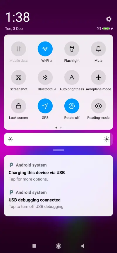 Indflower_DWM19 - Screenshot 5