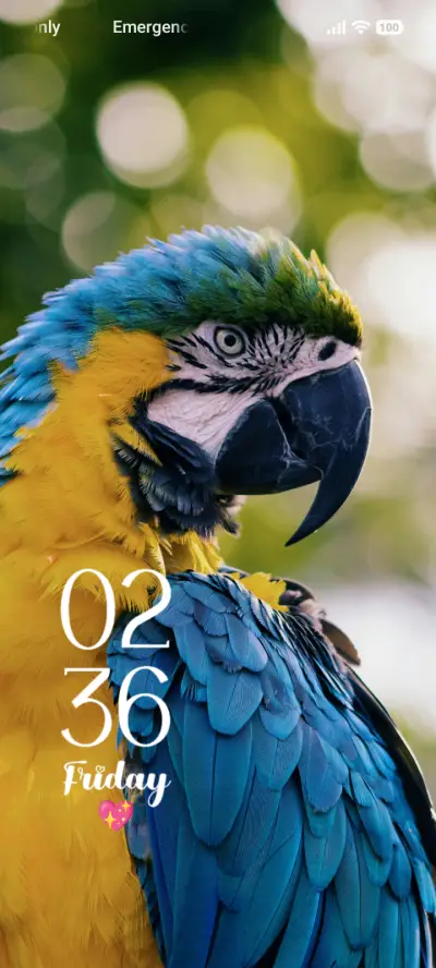 Parrot THEME for Xiaomi MIUI HyperOS